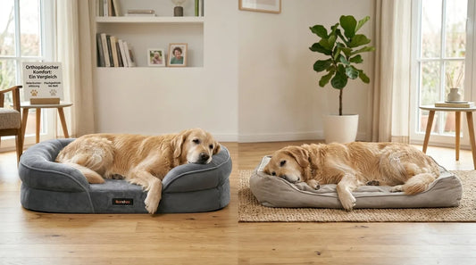Hund auf einem normalen Hundebett