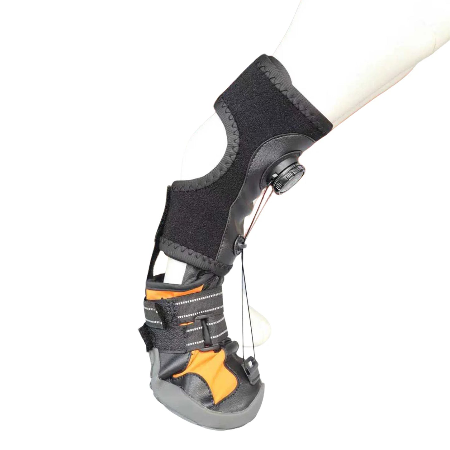 Professionelle Fellpflege und Haustierföhn im Shoka Onlineshop
