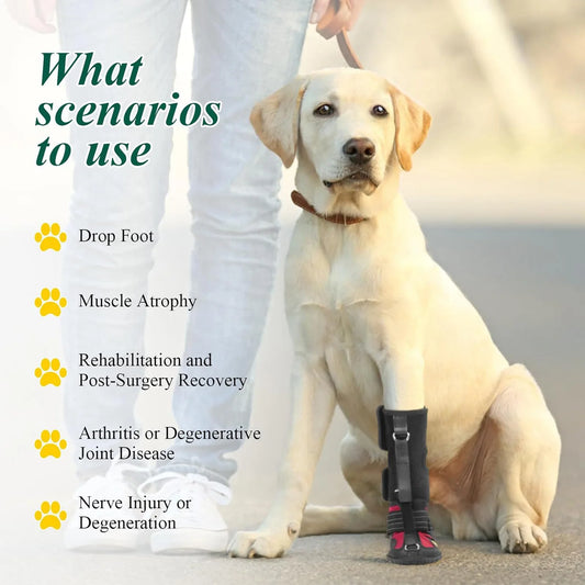 Shoka™ Elite Ortho-Step 🐾 Orthopädischer Leder-Hundeschuh gegen Knuckling & Pfotenschleifen