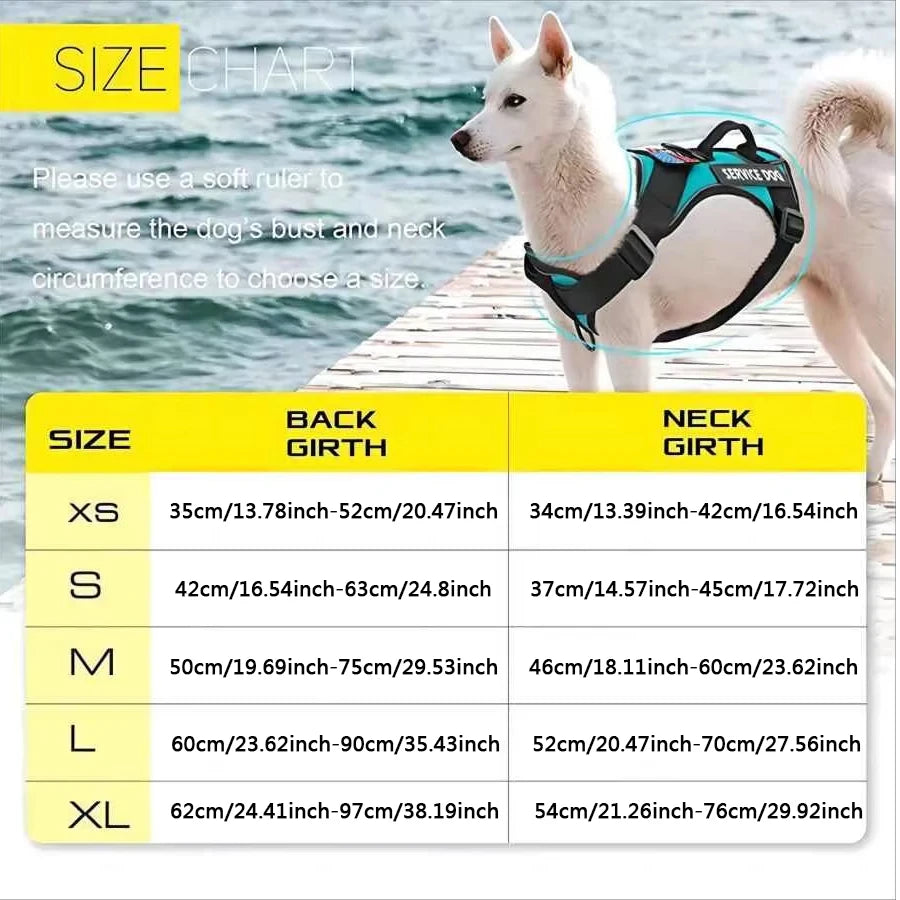Taktisches Premium Hundegeschirr – No-Pull, Robust & Individuell Anpassbar