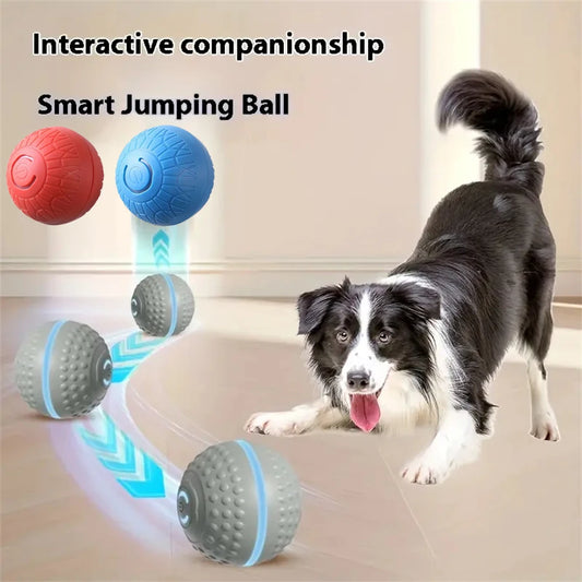 Shoka Smart-Jump-Ball 🐾 Interaktiver & automatischer Spielball für Hunde (USB-C aufladbar)