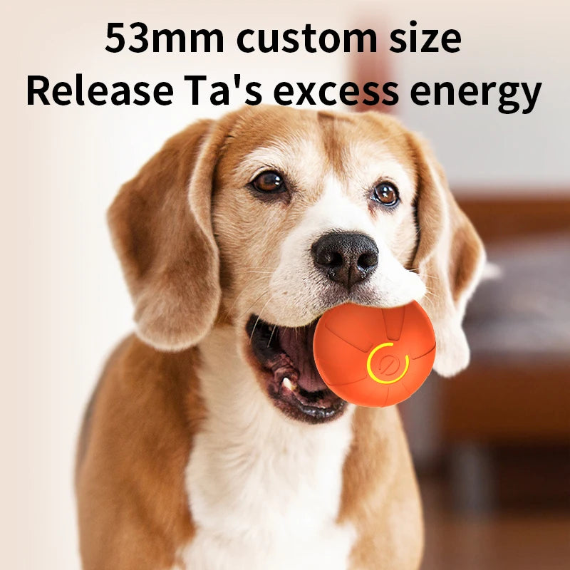 Shoka Smart-Jump-Ball 🐾 Interaktiver & automatischer Spielball für Hunde (USB-C aufladbar)